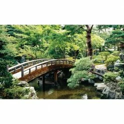 Biggies Bonsai View - Weather Proof Scene for Window Wells or Wall Mural - 120 in. x 60 in