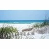 Biggies Carolina Coast View - Weather Proof Scene for Window Wells or Wall Mural - 80 in. x 40 in. -Biggie Sales biggies window wells accessories bg ww cct 80 64 1000