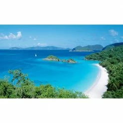 Biggies Island Cove View - Weather Proof Scene for Window Wells or Wall Mural - 120 in. x 60 in.