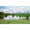 Biggies Mountain Flowers View - Weather Proof Scene for Window Wells or Wall Mural - 100 in. x 60 in. -Biggie Sales biggies window wells accessories bg ww mfw 100 64 1000