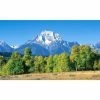 Biggies Mountain View - Weather Proof Scene for Window Wells or Wall Mural - 100 in. x 60 in. -Biggie Sales biggies window wells accessories bg ww mtn 100 64 1000