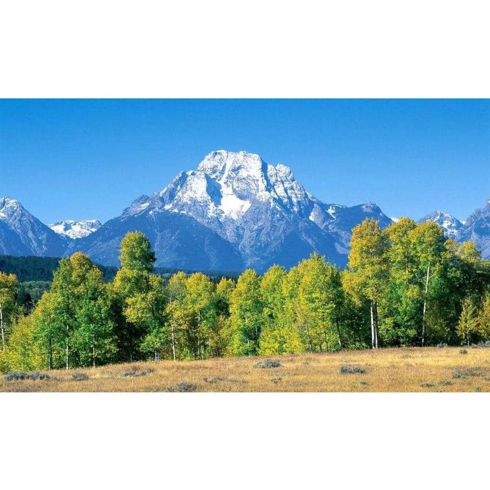 Biggies Mountain View - Weather Proof Scene for Window Wells or Wall Mural - 100 in. x 60 in. 3 Biggies Mountain View - Weather Proof Scene for Window Wells or Wall Mural - 100 in. x 60 in.