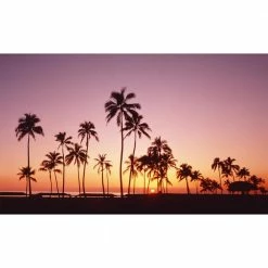 Biggies Palm View - Weather Proof Scene for Window Wells or Wall Mural - 120 in. x 60 in