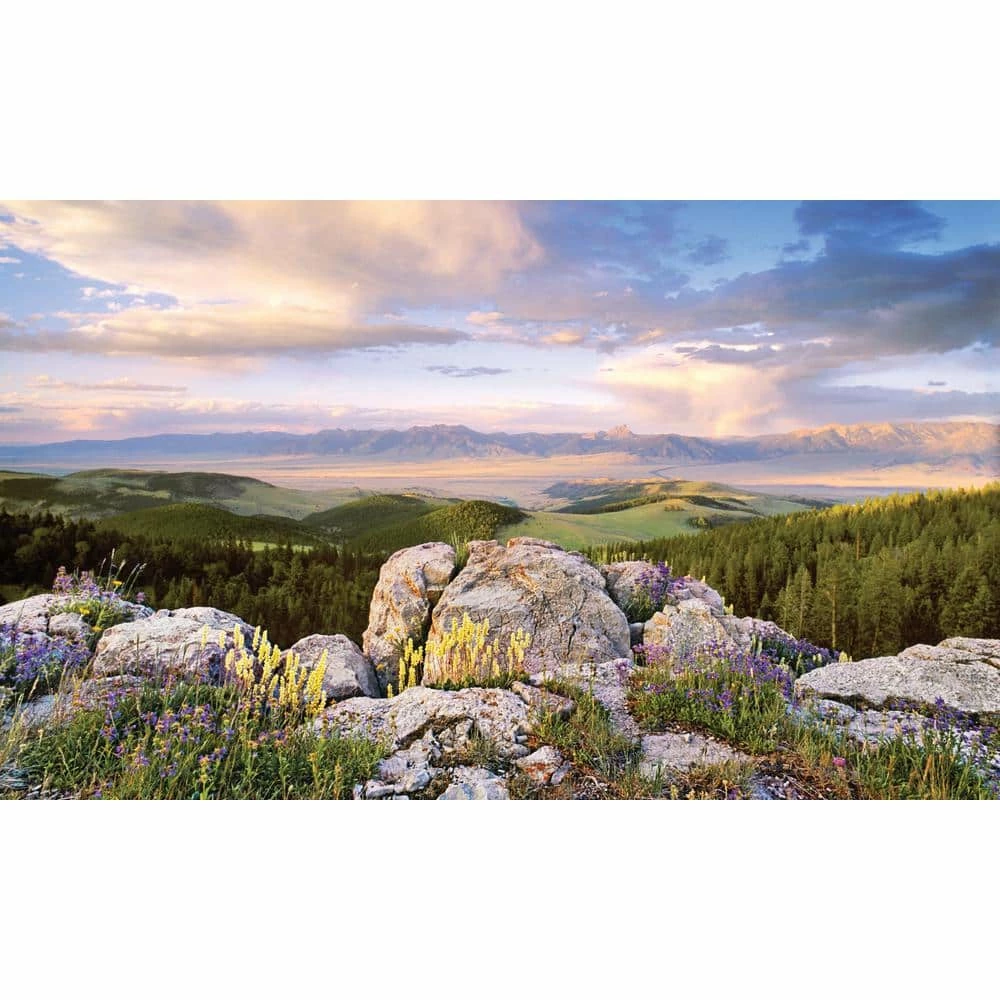 Biggies Sunrise View - Weather Proof Scene for Window Wells or Wall Mural - 120 in. x 60 in 3 Biggies Sunrise View - Weather Proof Scene for Window Wells or Wall Mural - 120 in. x 60 in