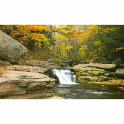 Biggies Stream View - Weather Proof Scene for Window Wells or Wall Mural - 120 in. x 60 in