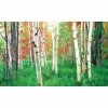 Biggies Woods View - Weather Proof Scene for Window Wells or Wall Mural - 80 in. x 40 in. -Biggie Sales biggies window wells accessories bg ww wds 80 64 1000
