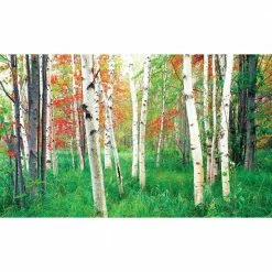 Biggies Woods View - Weather Proof Scene for Window Wells or Wall Mural - 80 in. x 40 in.