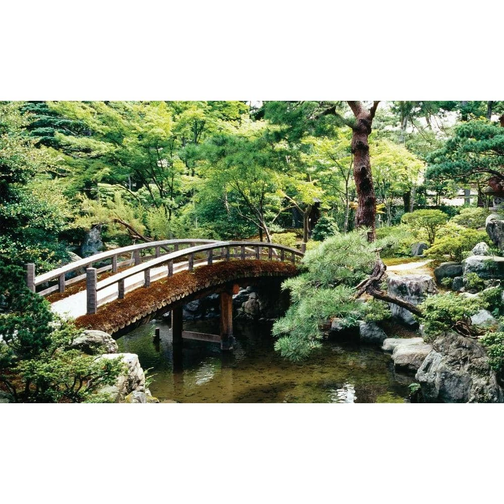 Biggies Bonsai View - Weather Proof Scene for Window Wells or Wall Mural - 100 in. x 60 in. 3 Biggies Bonsai View - Weather Proof Scene for Window Wells or Wall Mural - 100 in. x 60 in.