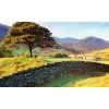 Biggies Country View - Weather Proof Scene for Window Wells or Wall Mural - 100 in. x 60 in. 1 Biggies Country View - Weather Proof Scene for Window Wells or Wall Mural - 100 in. x 60 in. -Biggie Sales country biggies window wells accessories ww ctr 100 64 1000
