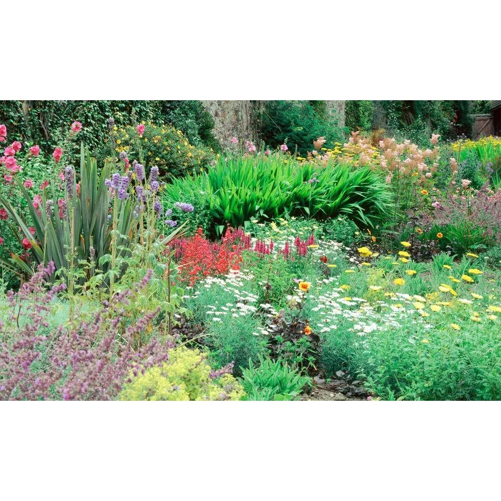 Biggies Flower View - Weather Proof Scene for Window Wells or Wall Mural - 100 in. x 60 in. 3 Biggies Flower View - Weather Proof Scene for Window Wells or Wall Mural - 100 in. x 60 in.