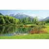 Biggies Lake View - Weather Proof Scene for Window Wells or Wall Mural - 120 in. x 60 in. -Biggie Sales lake biggies window wells accessories ww lke 120 64 1000