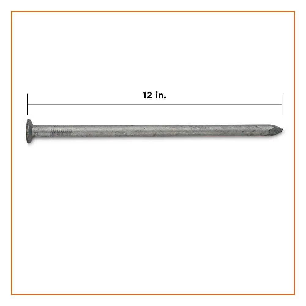 PRO-FIT 12 in. Hot Dipped Galvanized Common Spike Nail 50 lbs. (150-Count) 4 PRO-FIT 12 in. Hot Dipped Galvanized Common Spike Nail 50 lbs. (150-Count) - Image 2