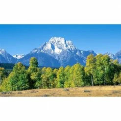 Biggies Mountain View - Weather Proof Scene for Window Wells or Wall Mural - 100 in. x 60 in.