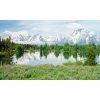 Biggies Mountain Flower View - Weather Proof Scene for Window Wells or Wall Mural - 120 in. x 60 in. 2 Biggies Mountain Flower View - Weather Proof Scene for Window Wells or Wall Mural - 120 in. x 60 in. -Biggie Sales mountain flower biggies window wells accessories ww mfw 120 64 1000