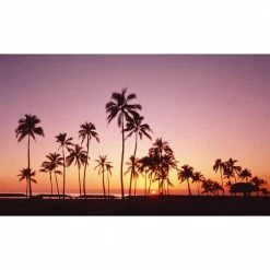 Biggies Palms View - Weather Proof Scene for Window Wells or Wall Mural - 100 in. x 60 in.