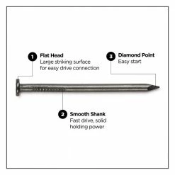 PRO-FIT 2 in. (6D) Brite Smooth Common Nail 1 lb. (161-Count) -Biggie Sales pro fit common nails 53138 4f 1000