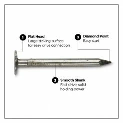 PRO-FIT 3 in. (10D) Brite Smooth Common Nail 1 lb. (65-Count) 10 PRO-FIT 3 in. (10D) Brite Smooth Common Nail 1 lb. (65-Count) -Biggie Sales pro fit common nails 53178 4f 1000