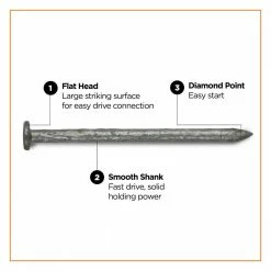 PRO-FIT 2 in. (6D) Hot Dipped Galvanized Smooth Common Nail 1 lb. (166-Count) -Biggie Sales pro fit common nails 54138 4f 1000