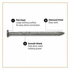 PRO-FIT 3 in. (10D) Hot Dipped Galvanized Smooth Common Nail 1 lb. (63-Count) -Biggie Sales pro fit common nails 54178 4f 1000