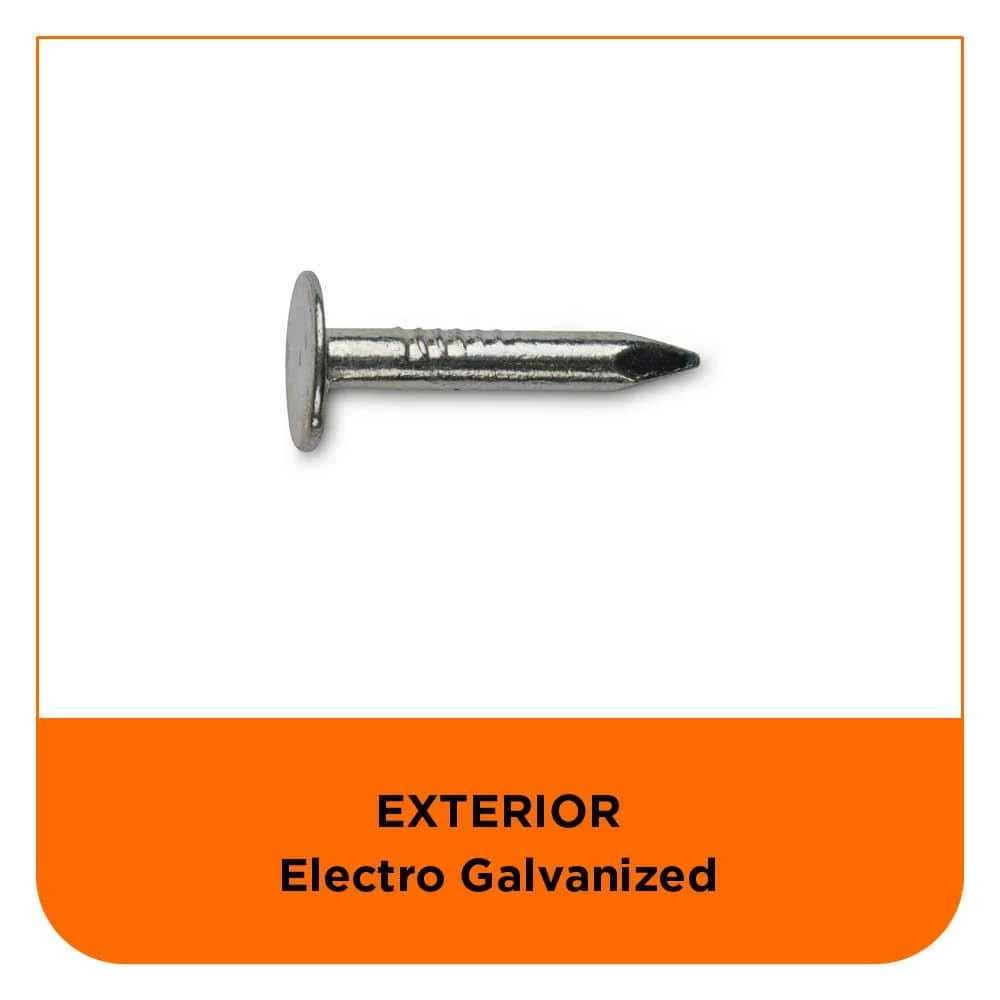 PRO-FIT 3/4 in. Electro-Galvanized Roofing Nail 1 lb. (323-Count) 7 PRO-FIT 3/4 in. Electro-Galvanized Roofing Nail 1 lb. (323-Count) - Image 5