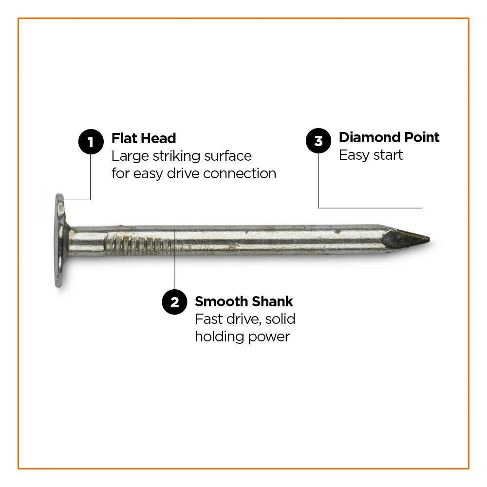 PRO-FIT 1-3/4 in Electro Galvanized Roofing Nail 1 lbs. (155-Count) 5 PRO-FIT 1-3/4 in Electro Galvanized Roofing Nail 1 lbs. (155-Count) - Image 3