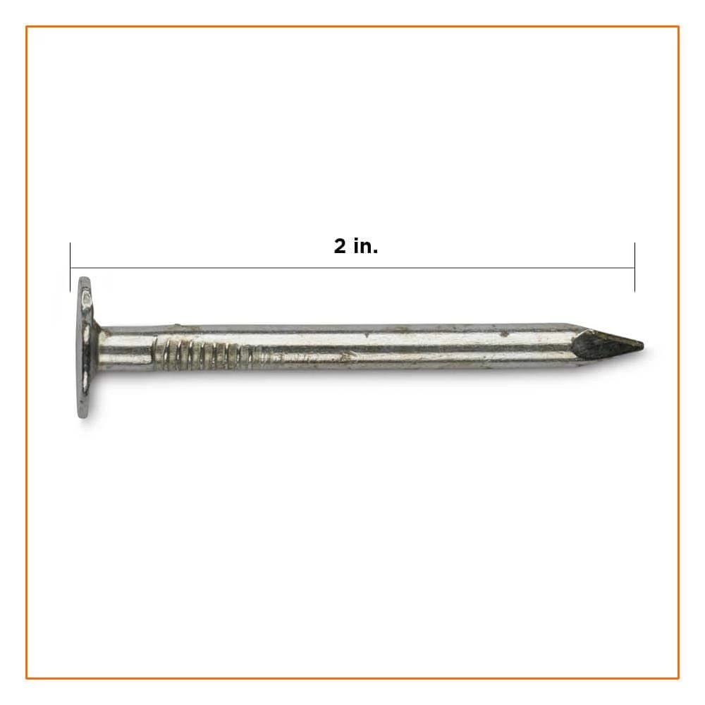 PRO-FIT 2 in. Electro-Galvanized Metal Roofing Nails - 25 lbs./Pail 4 PRO-FIT 2 in. Electro-Galvanized Metal Roofing Nails - 25 lbs./Pail - Image 2