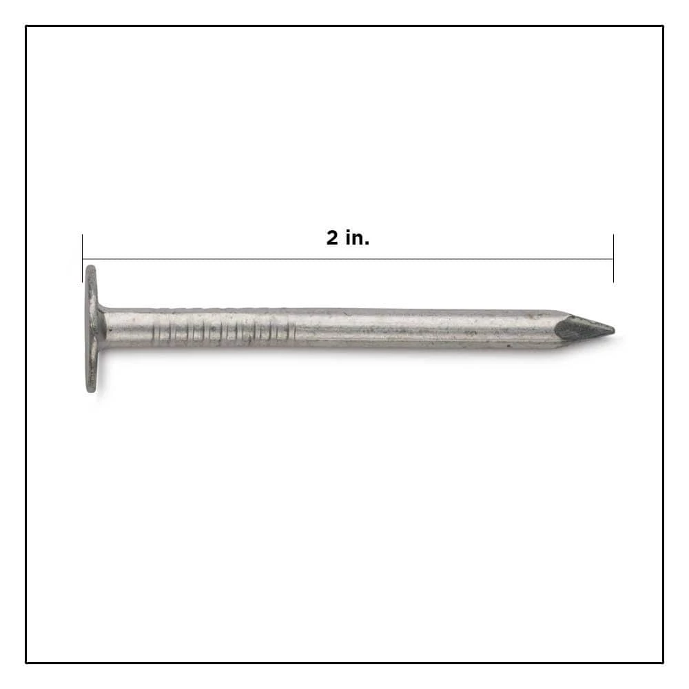 PRO-FIT 2 in. Aluminum Siding Nail 1 lb. (432-Count) 4 PRO-FIT 2 in. Aluminum Siding Nail 1 lb. (432-Count) - Image 2