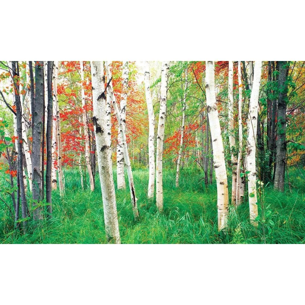 Biggies Woods View - Weather Proof Scene for Window Wells or Wall Mural - 120 in. x 60 in. 3 Biggies Woods View - Weather Proof Scene for Window Wells or Wall Mural - 120 in. x 60 in.